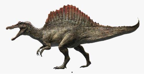 最新爆料异特龙图片高清,高清图片揭示史前巨兽真实面貌